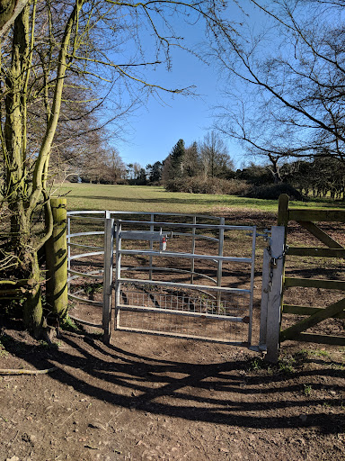 Manor Park Country Park 20250808 192836 010