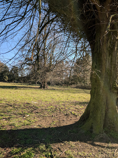 Manor Park Country Park 20250808 192838 012