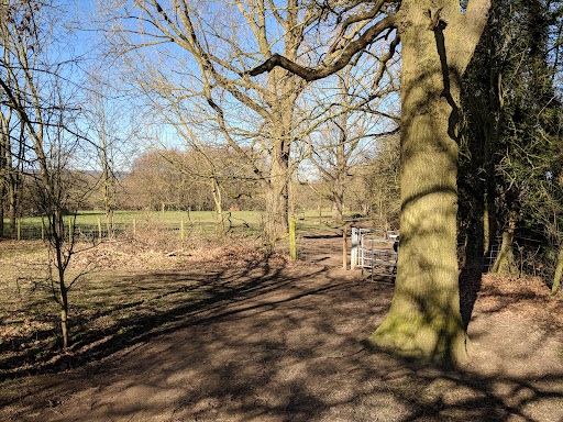 Manor Park Country Park 20250808 192840 014