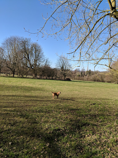 Manor Park Country Park 20250808 192841 015