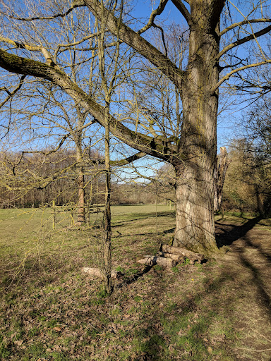 Manor Park Country Park 20250808 192842 016