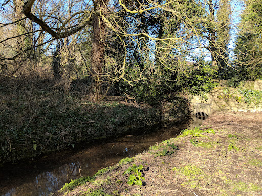 Manor Park Country Park 20250808 192843 018