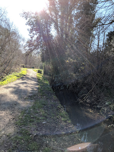 Manor Park Country Park 20250808 192844 019