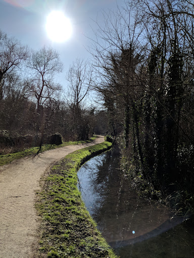 Manor Park Country Park 20250808 192845 020