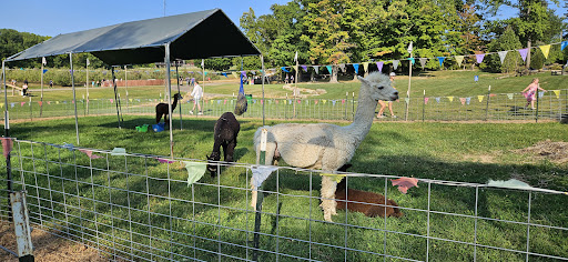 Mapleside Farms 20250727 041401 013