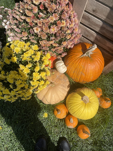 March Farm 20250727 051703 005