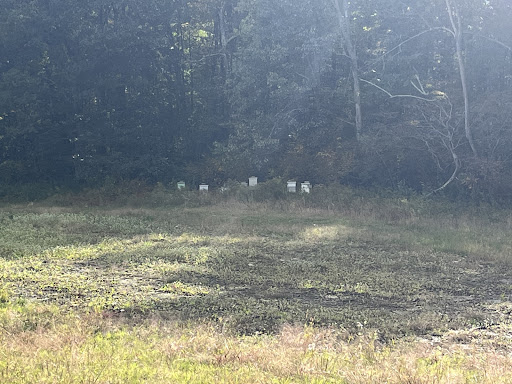 March Farm 20250727 051713 017