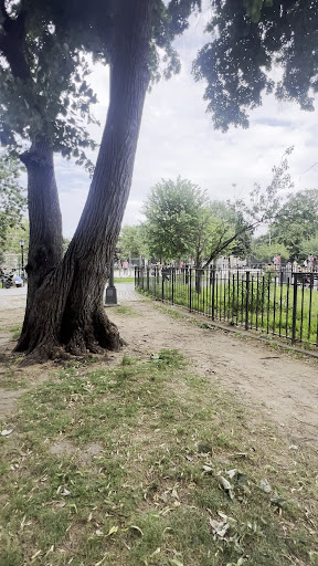 Maria Hernandez Park 20250727 035758 004