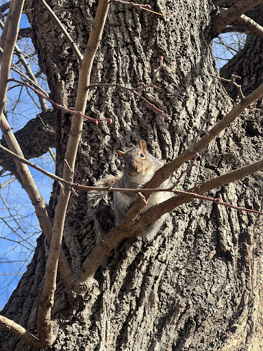 Maria Hernandez Park 20250727 035801 007