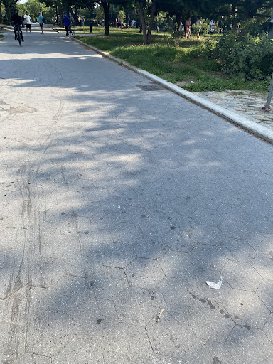 Maria Hernandez Park 20250727 035810 020