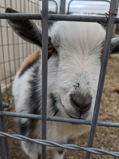 Marietta Farm 20250726 235557 005