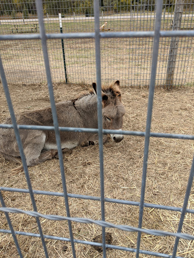 Marietta Farm 20250726 235557 006