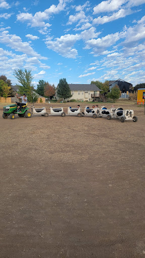 Marietta Farm 20250726 235600 009