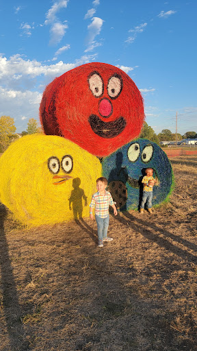 Marietta Farm 20250726 235601 011