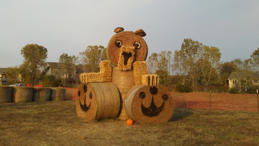 Marietta Farm 20250726 235602 012