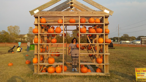 Marietta Farm 20250726 235603 013