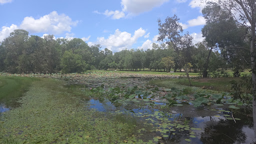 Marlow Lagoon Playground 20250823 234422 015
