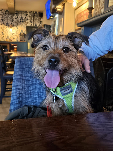 Marquis of Granby 20250808 161730 001