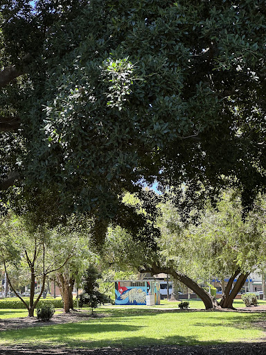 Mascot Memorial Park Childrens Playground 20250824 025259 007