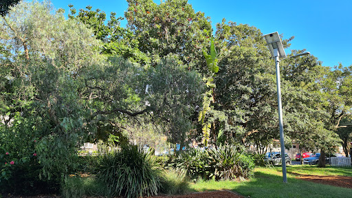 Mascot Memorial Park Childrens Playground 20250824 025300 008