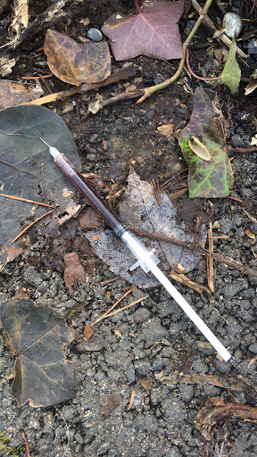 Mayfair Playfield 20250727 090243 005