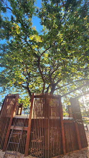 McKinnon Reserve Playground 20250824 032803 002