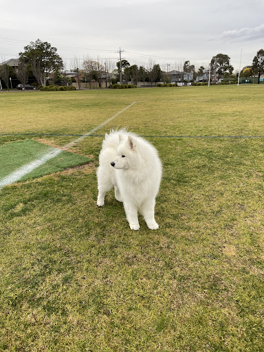 McKinnon Reserve Playground 20250824 032810 011