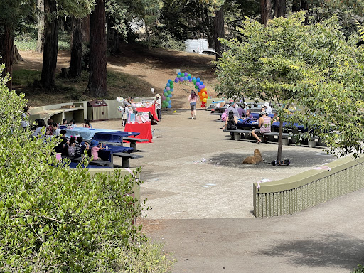 McLaren Redwood Playground 20250727 102604 010