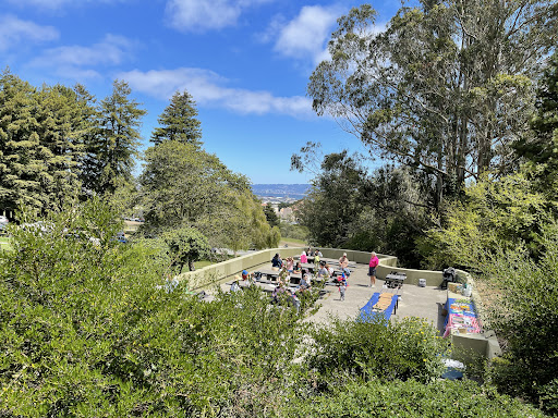 McLaren Redwood Playground 20250727 102605 011