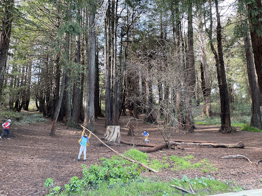 McLaren Redwood Playground 20250727 102612 019