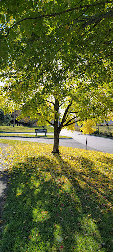 Meadow Breeze Kids Playground 20250727 042539 003