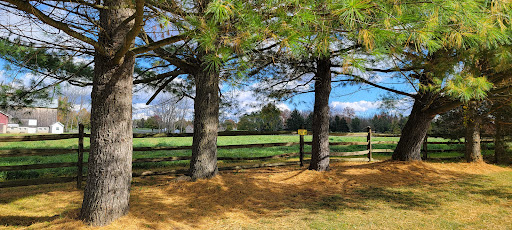 Meadow Breeze Kids Playground 20250727 042541 006