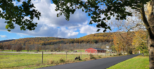 Meadow Breeze Kids Playground 20250727 042544 009