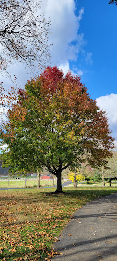 Meadow Breeze Kids Playground 20250727 042545 010