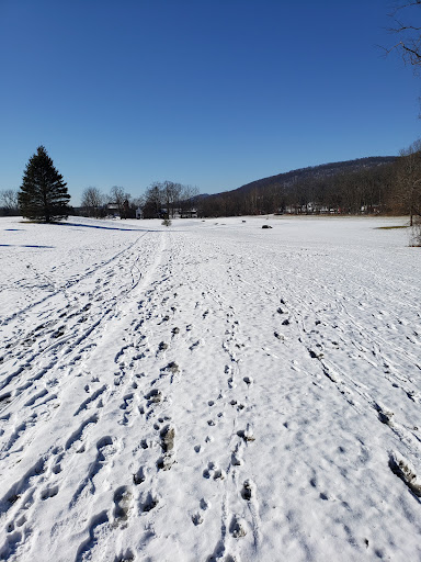 Meadow Breeze Kids Playground 20250727 042548 015