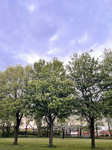 Meir Park playground 20250808 173436 002
