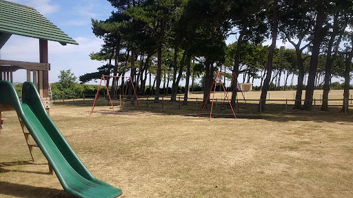 Memorial Ground Playground 20250808 195658 004