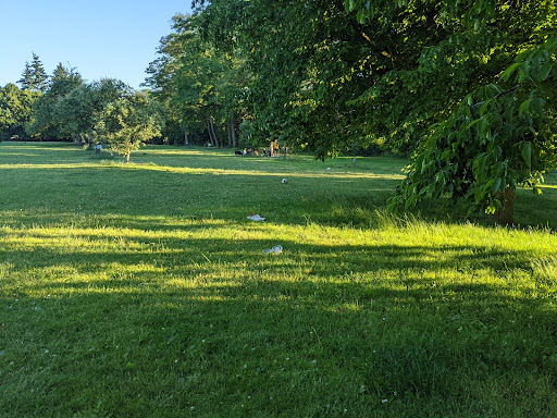 Meridian Playground 20250727 092340 002