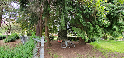 Meridian Playground 20250727 092349 013