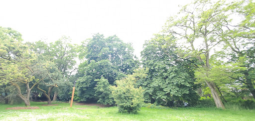 Meridian Playground 20250727 092351 016