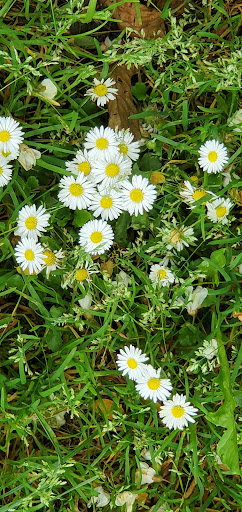 Meridian Playground 20250727 092352 017