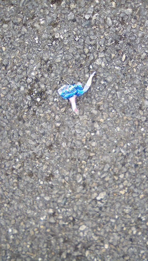 Middleton St George Play Park and Field 20250808 155329 003