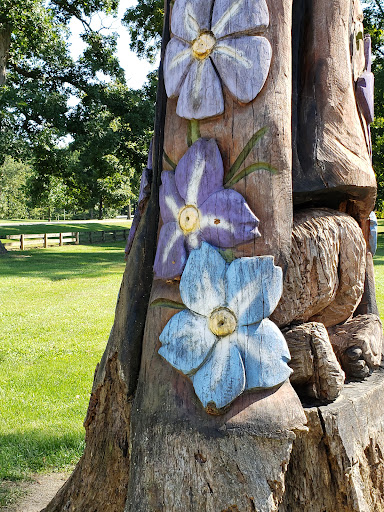 Millikin Woods Park 20250727 022605 009