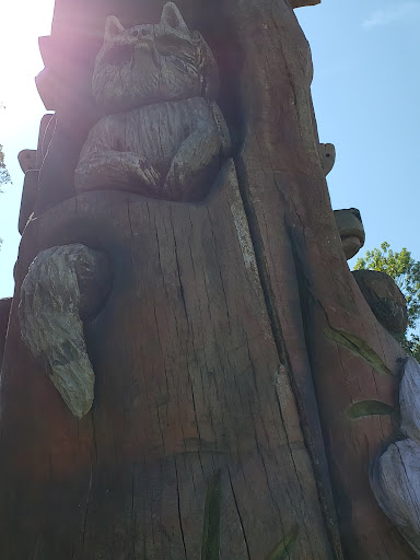 Millikin Woods Park 20250727 022607 011