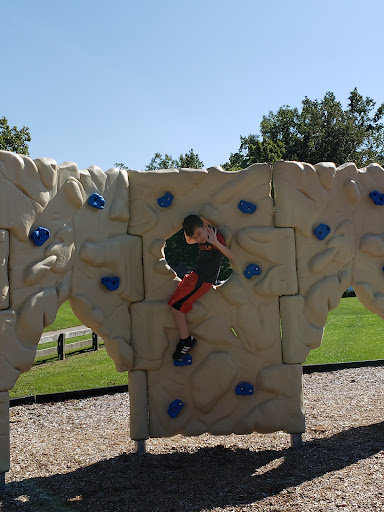 Millikin Woods Park 20250727 022609 014