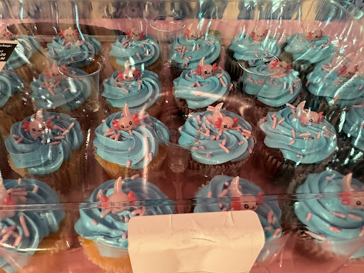 Mini Mushrooms 20250727 040855 003