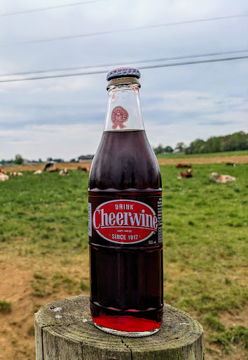 Misty Meadow Farm Creamery 20250727 023530 006