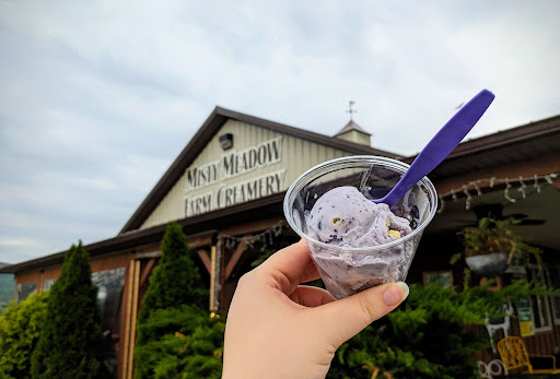 Misty Meadow Farm Creamery 20250727 023538 017