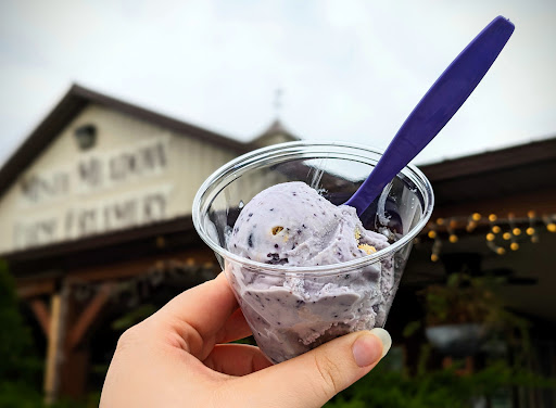 Misty Meadow Farm Creamery 20250727 023539 018