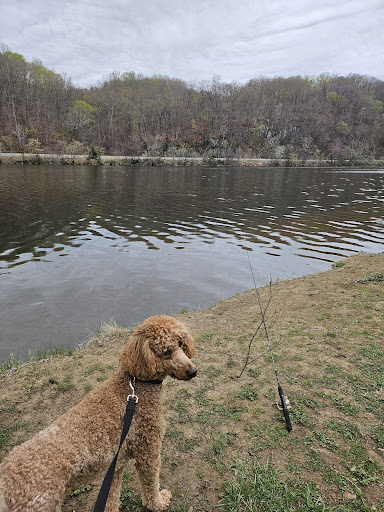 Monacan Park 20250727 000017 003